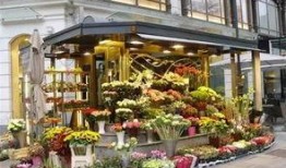 最新吃瓜爆料花店,揭秘最新吃瓜爆料背后的花语秘密